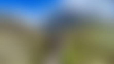 Kings of the Trail #030