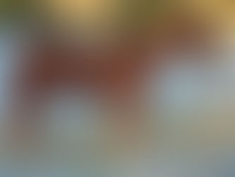 The Story of Fiona and Alma