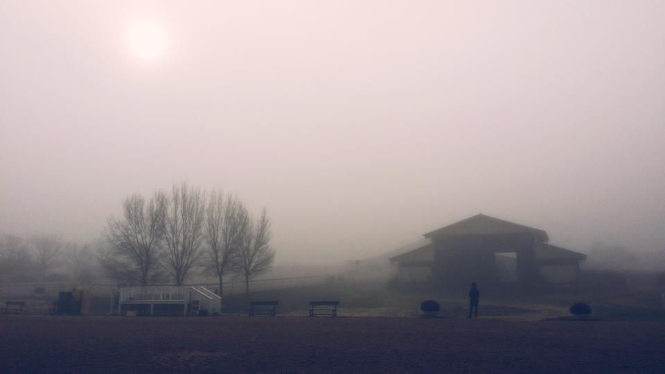 A foggy Day on the Farm