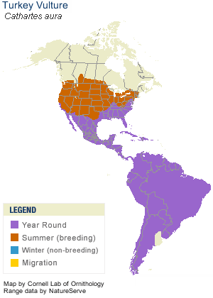 Turkey Vulture Map