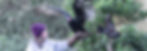 Turkey Vulture and Volunteer