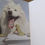 Thumbnail: Samoyed Dog Frog Tree Free Art Greeting Card Green E-Certified Blank Inside