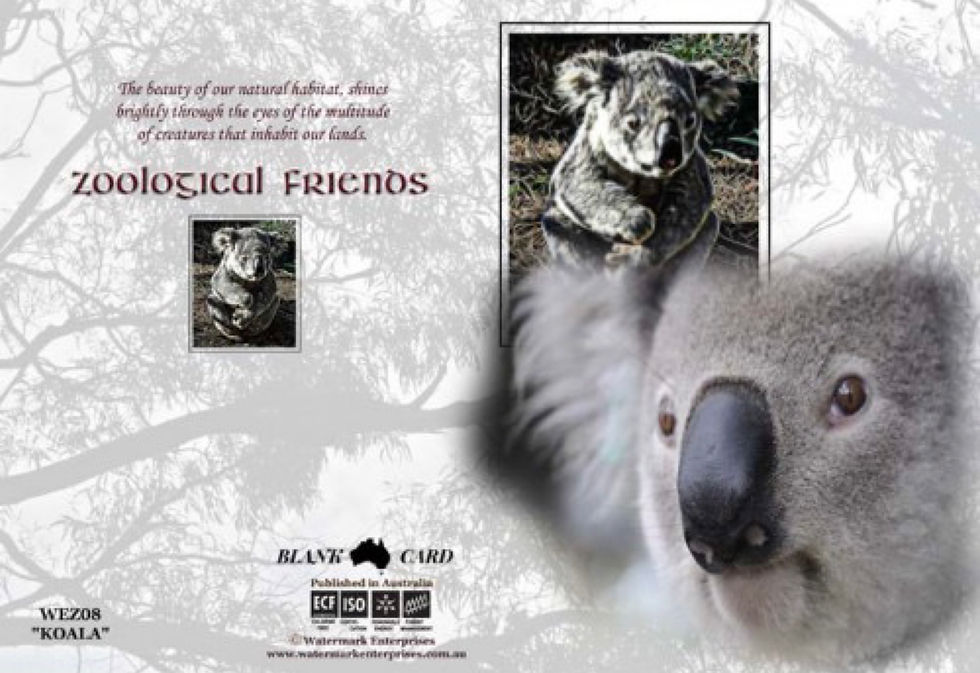 Thumbnail: Koala Greeting Card Zoological Friends Envelope Printed Australia