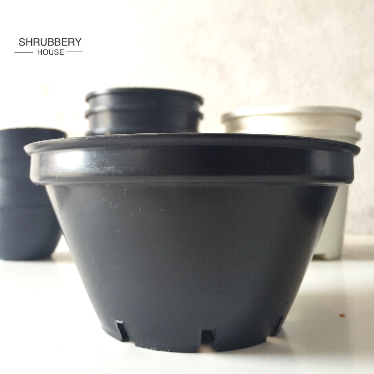 Plastic Pot 6"