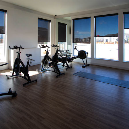 gym amenities full of various exercise equipment and lots of light