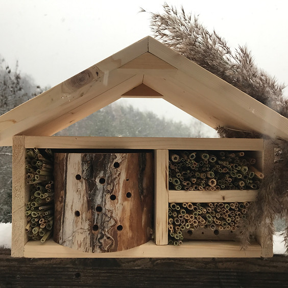 Atelier - Construire l'hôtel à insecte idéal