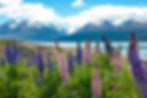 Mt Cook National Park
