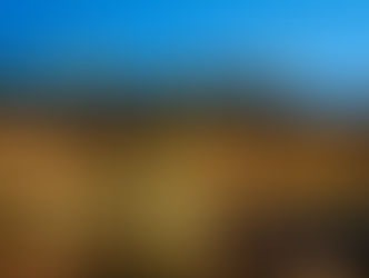 La France mérite mieux que l’oubli