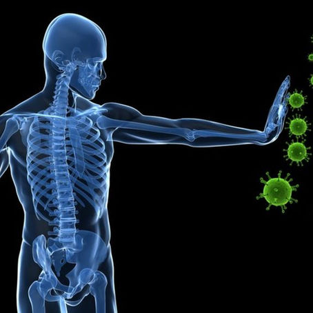 How to Boost Immunity with Ayurveda