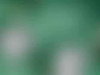 Co jste chtěli vědět o Czech Brewers Cup 2022 a báli jste se zeptat