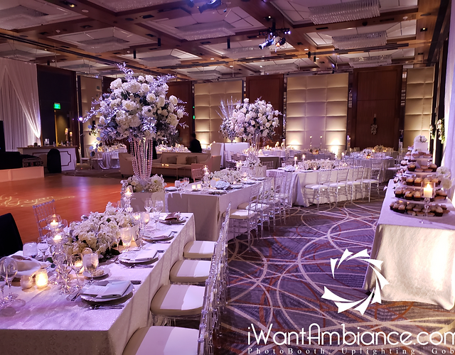 Pin Spot Lighting Iwantambiance Pin Spot Lighting Iwantambiance