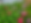 20250724_094724.png