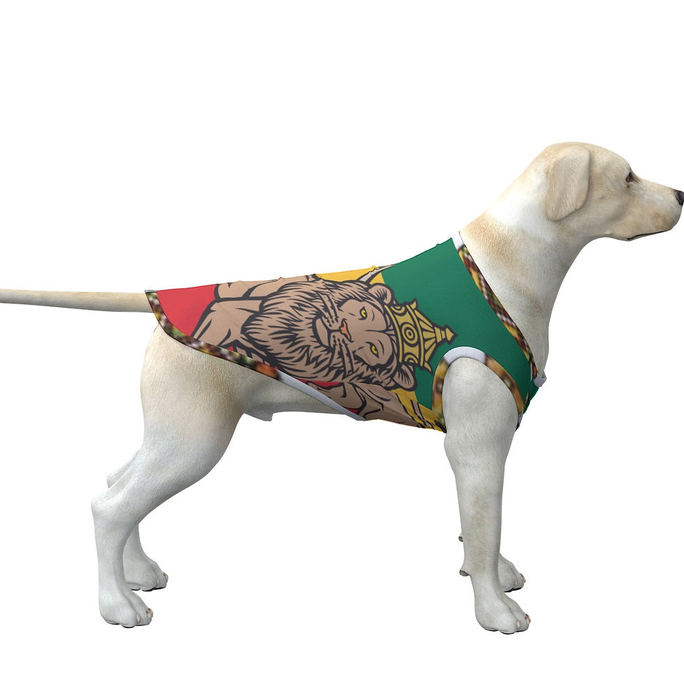 King Abyssinia Dog's Tank Top