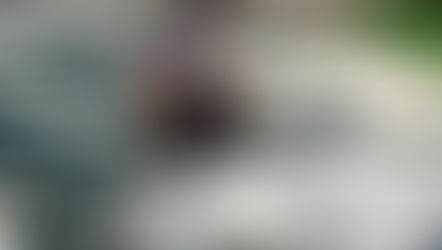 令和8年3月〜5月のご案内