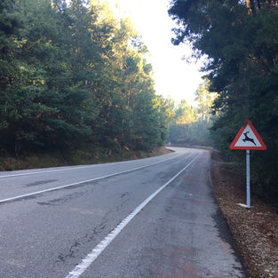 Primera escala caminando solo hacia Santiago por Tuy Galicia
