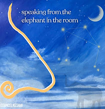 Speaking from the elephant in the room.jpg