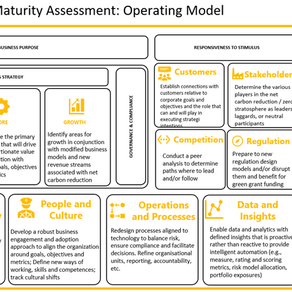 Energy Transition Maturity Assessment 
