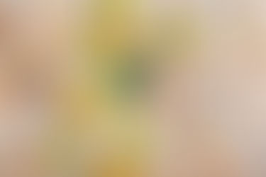 The K-Beauty "Inner Beauty" Paradox: Why Your Best Marketing is Your Biggest Risk in the U.S.