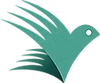 Z세대