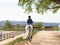 Horse Boarding Templeton, California