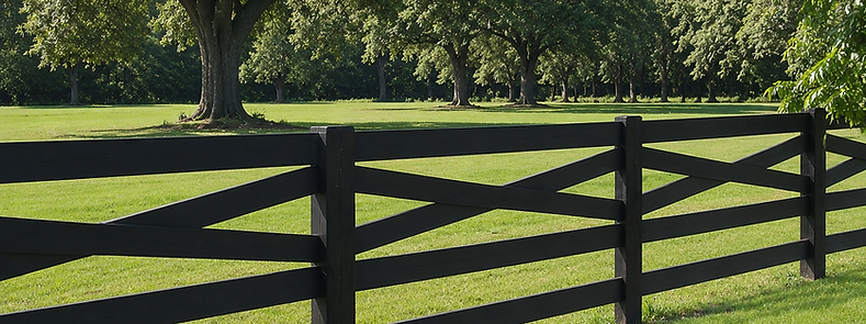 Beautiful grass field in Newberry, Florida, filled with live oak trees with a five board cross buck fence in the foreground.