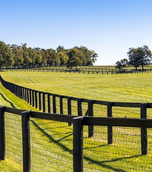 Black board horse fence curving around a green Marion County pasture — Penrod Lumber & Fence horse fencing installation in Ocala, Florida