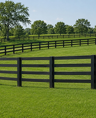 Black four-board horse fence on a green Florida pasture — Penrod Lumber & Fence, Ocala