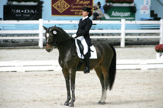 Lauren Ogden at dressage at Devon