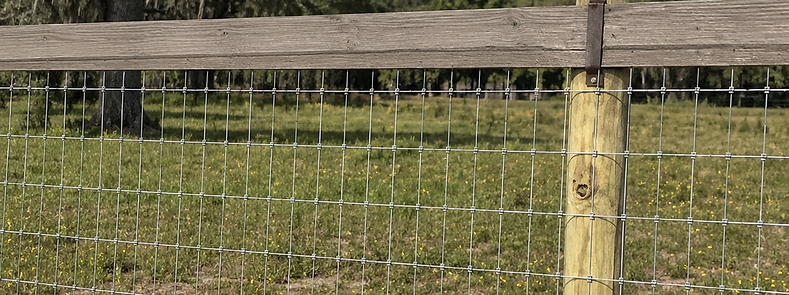 woven wire livestock fence with wooden rail top on a cattle ranch in Chiefland, Florida