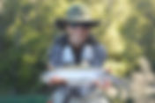 fotoc captura ai tincho espejo chico bosque.JPG