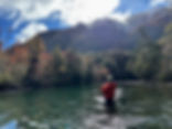 Dream fishing