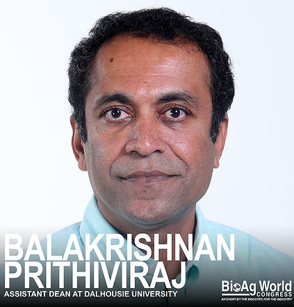 Balakrishnan Prithiviraj