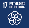 SDG goals partnerships.png