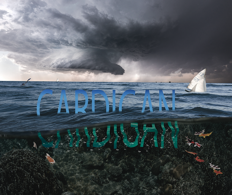 Cardigan Manipulation Design