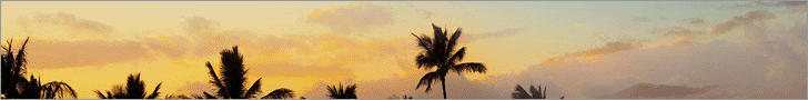 728x90_high_qality copy.gif