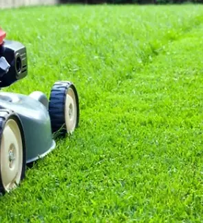 mowing-services-thumbnail.webp