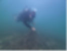 underwater cleanup.jpg