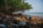 DSC00871.jpg