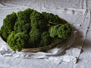 🥬 Chou kale : mon premier pas vers le printemps