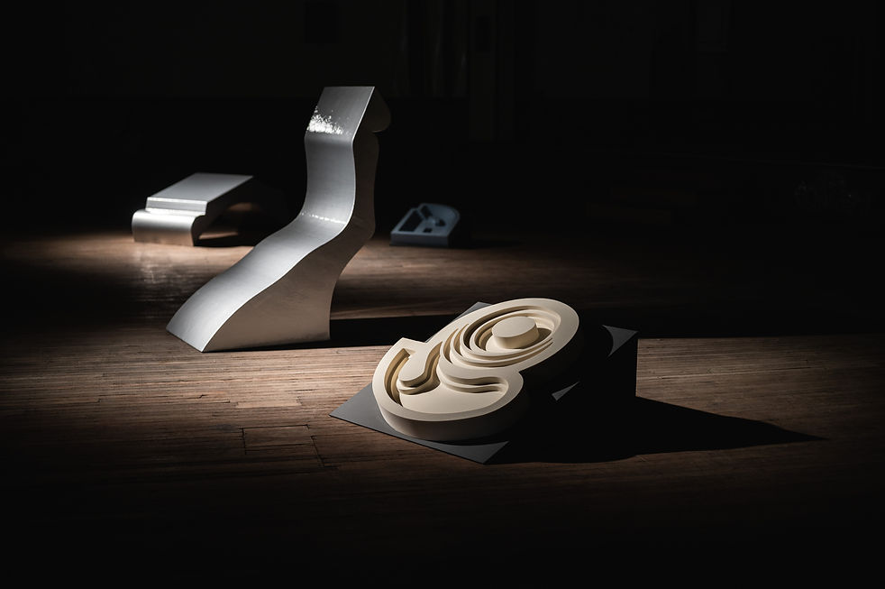 Liz Wilson, Artist, Sculpture, CNC, Robotics, Extrusion