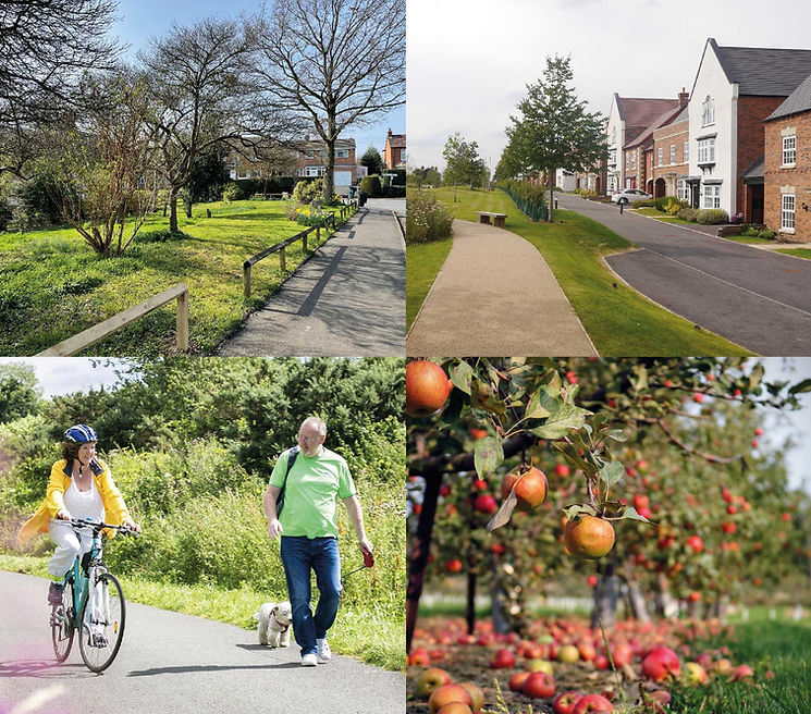 Collage of precedent images illustrating the vision for the development