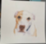 Thumbnail: Adult Watercolor Workshop: Paint a Pet Portrait! Monday, Oct. 26th 6:30