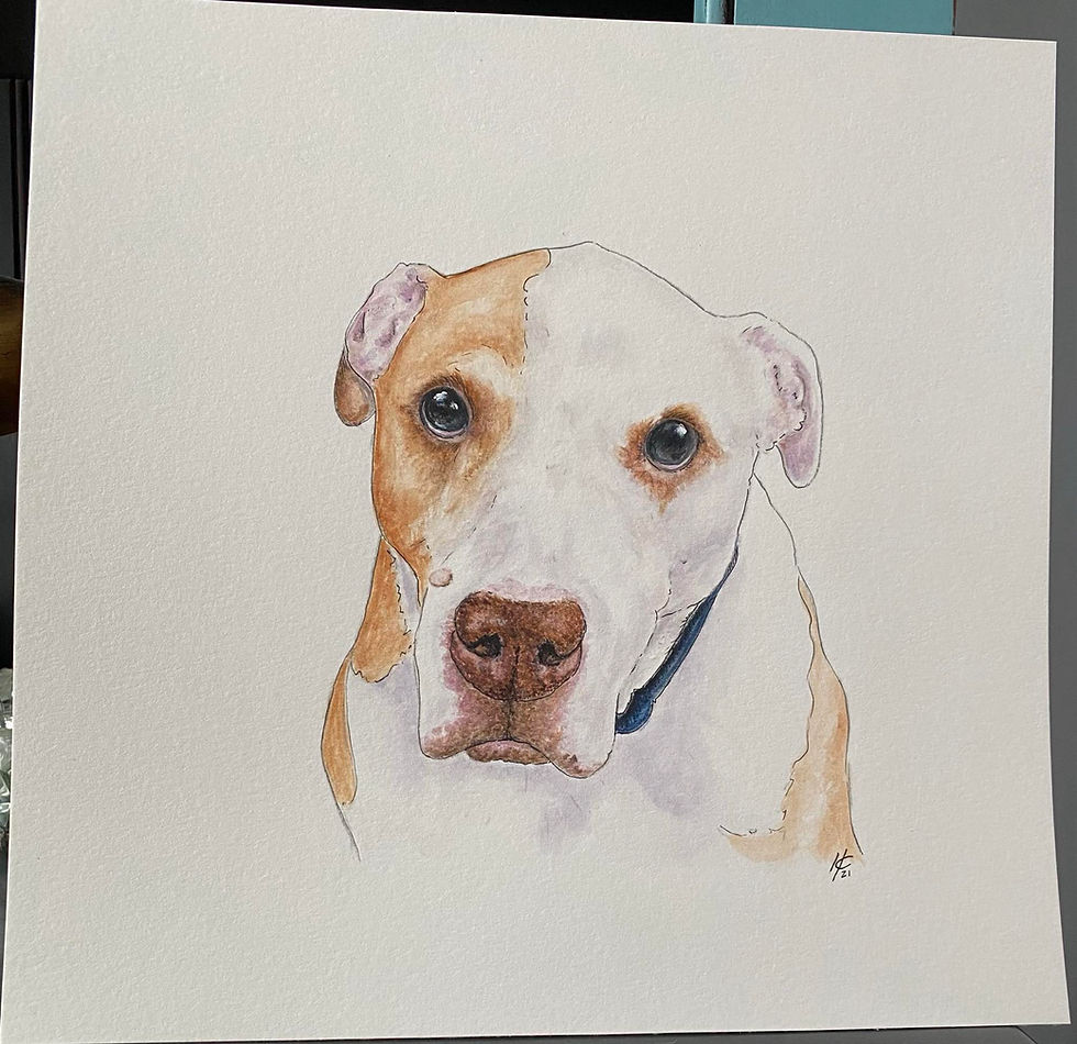 Thumbnail: Adult Watercolor Workshop: Paint a Pet Portrait! Monday, Nov. 9th 6:30 pm