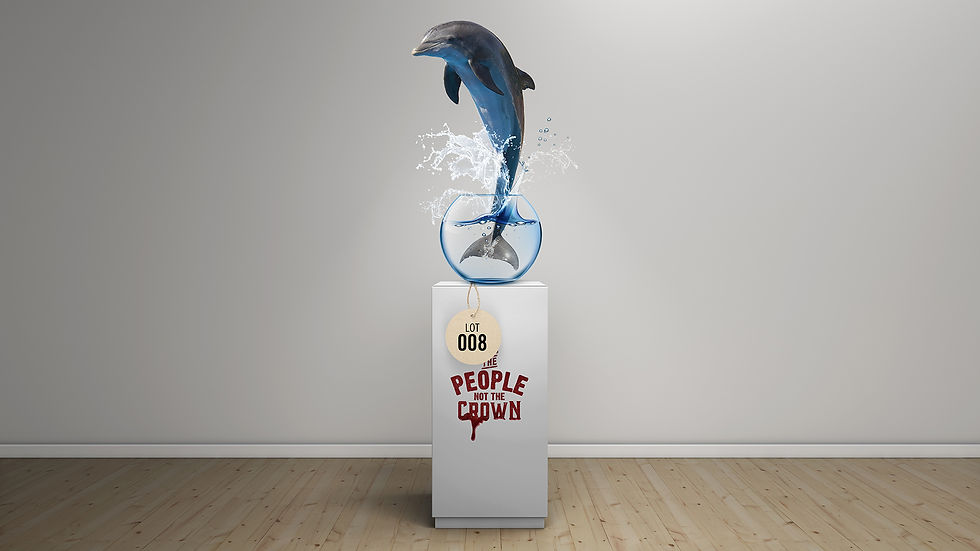 Dolphin_Wide_v2.jpg