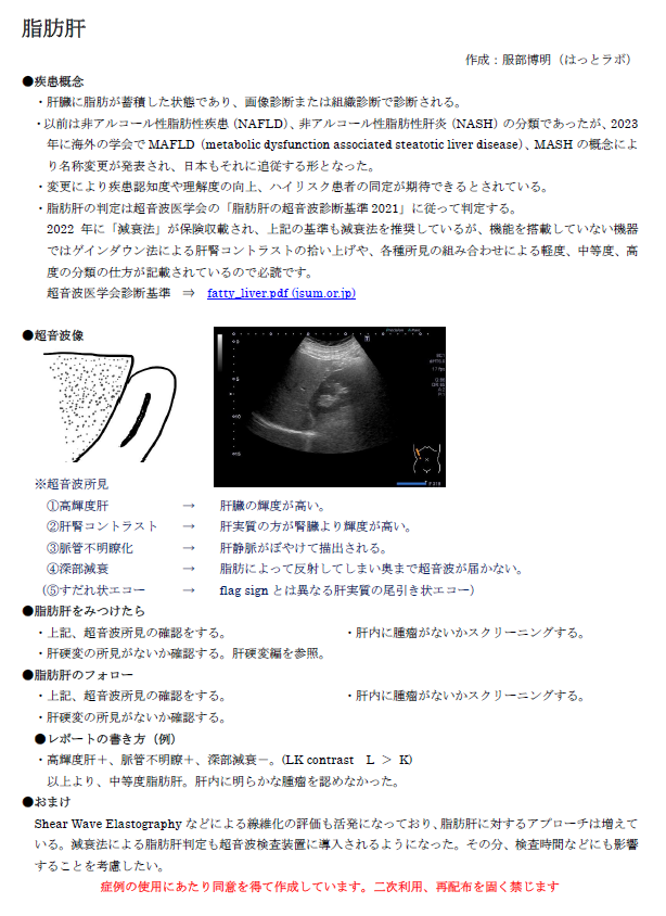 はっとラボ超音波検査勉強用資料(各疾患編)のご案内