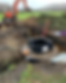 CDC12111-0EC8-48FF-AC09-9AD2EA7D2440_edited.png