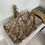 थंबनेल: Natural Stone Washbasin, Brown Rainforest Marble Bathroom Sink 