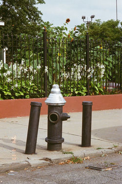 Brooklyn, NY