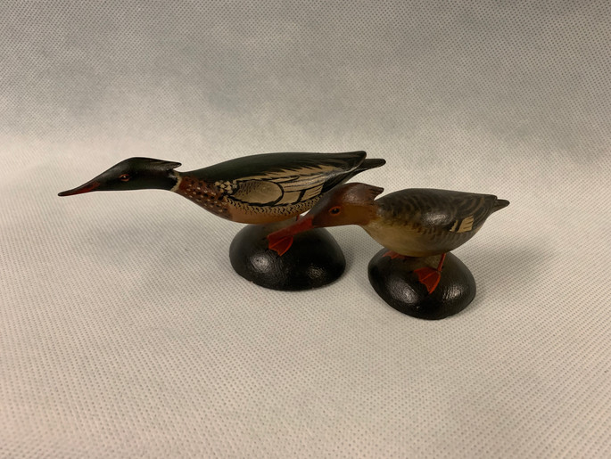 Miniature Mergansers