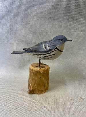Peltz Cerulean Warbler.jpeg